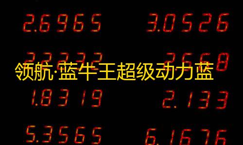 美国云服务器服务器领航·蓝牛王超级动力蓝牌轻卡王上市发布会现场黎明觉醒